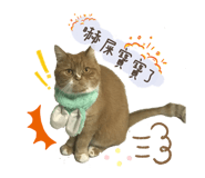 322018186