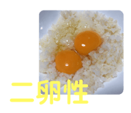 322046658