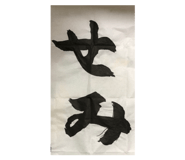 322046665