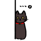 322202866