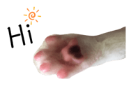 322214590