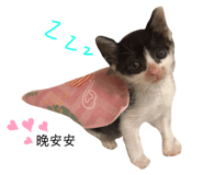 322214592
