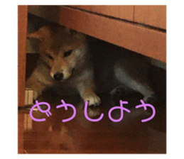 322261762