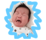 322263935