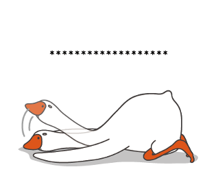 322291444