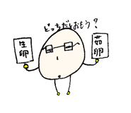 322305684