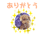 322368558