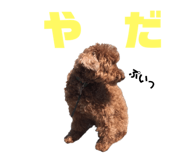 322368561