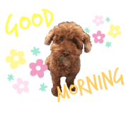 322368563