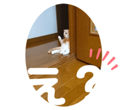 322371265