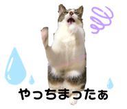 322371269