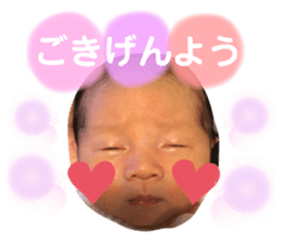 322375733