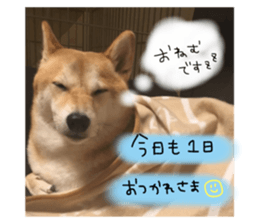 32241220