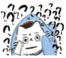 322437843