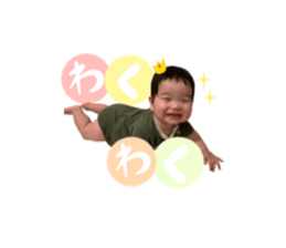 322444312