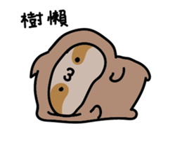 322452907