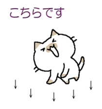 322479614