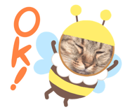 322480546