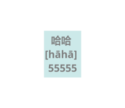 32250407