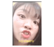 322515631