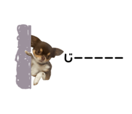 322529258