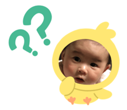 322536034