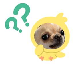 322544354