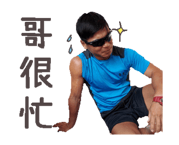 32258797