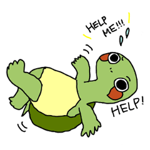 322654720