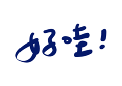 322666294