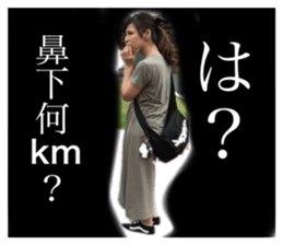 322778597