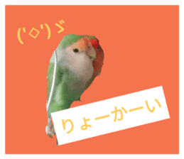 32288677