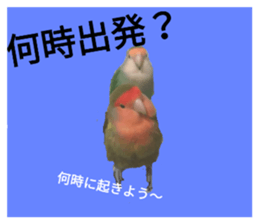 32288682