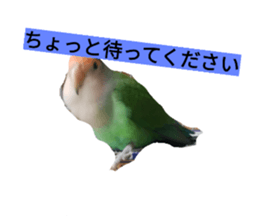 32288690