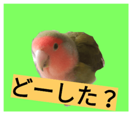 32288693