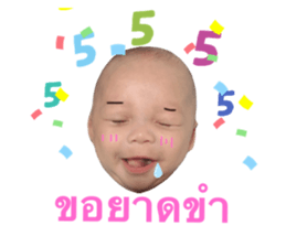 322962501