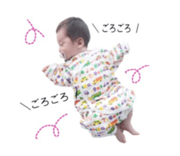 323033519