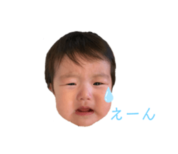 323055260