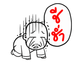 32306083