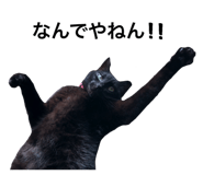 323083659