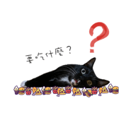 323105376