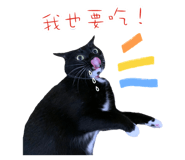 323105379