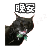 323105403
