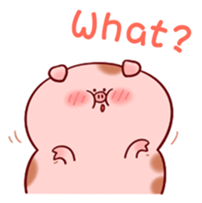 323117324