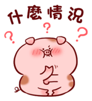 323117334