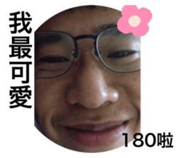 323136121