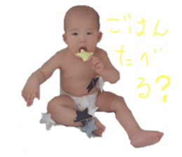 323155493