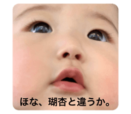 323162192