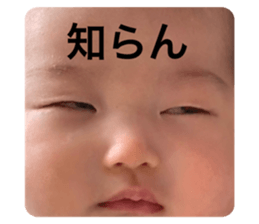 323162199