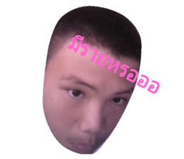 32316745